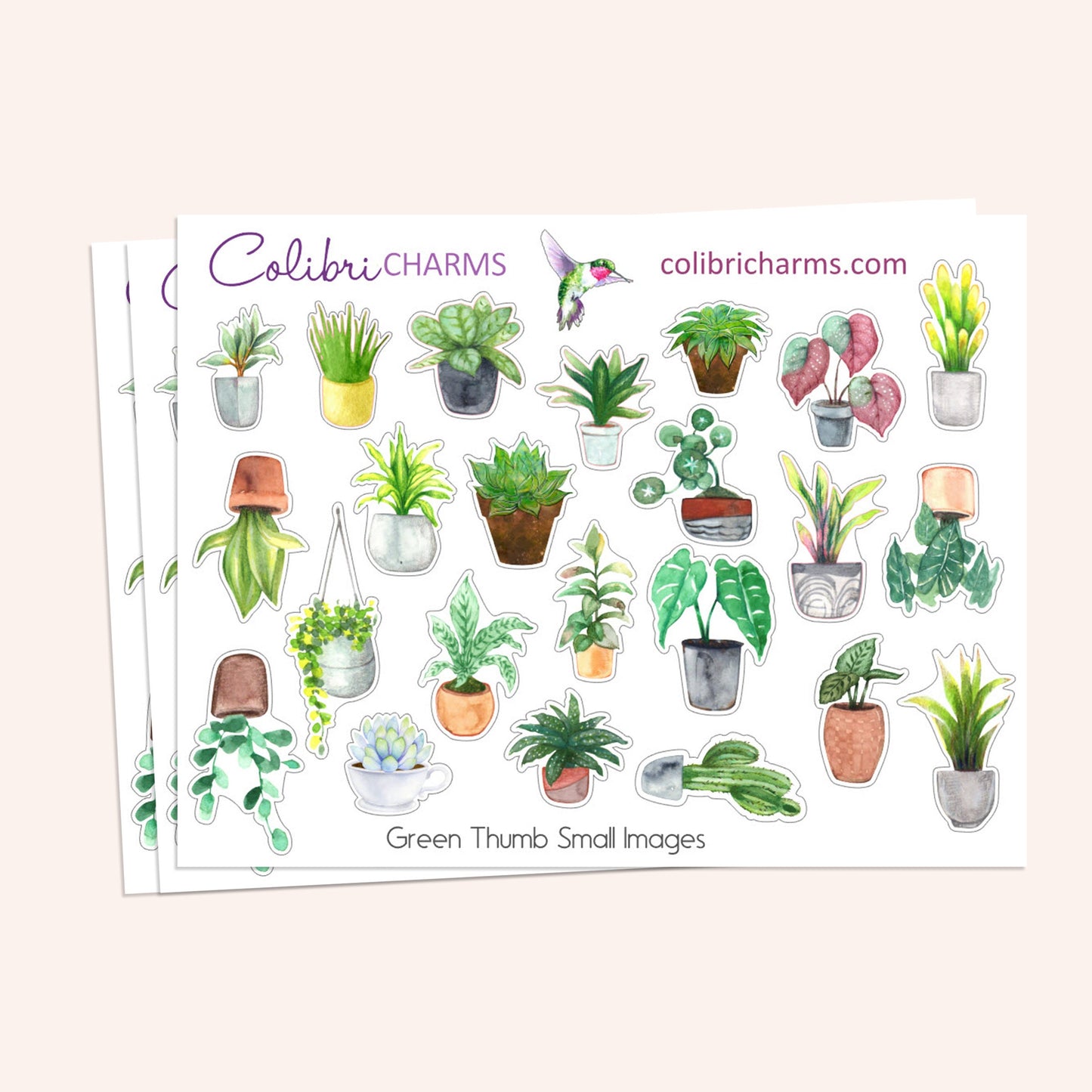 Green Thumb Planner Stickers | Plant Lovers’ Stickers | Plant Fan Stickers | Houseplant Stickers | Seasonal Planner Stickers