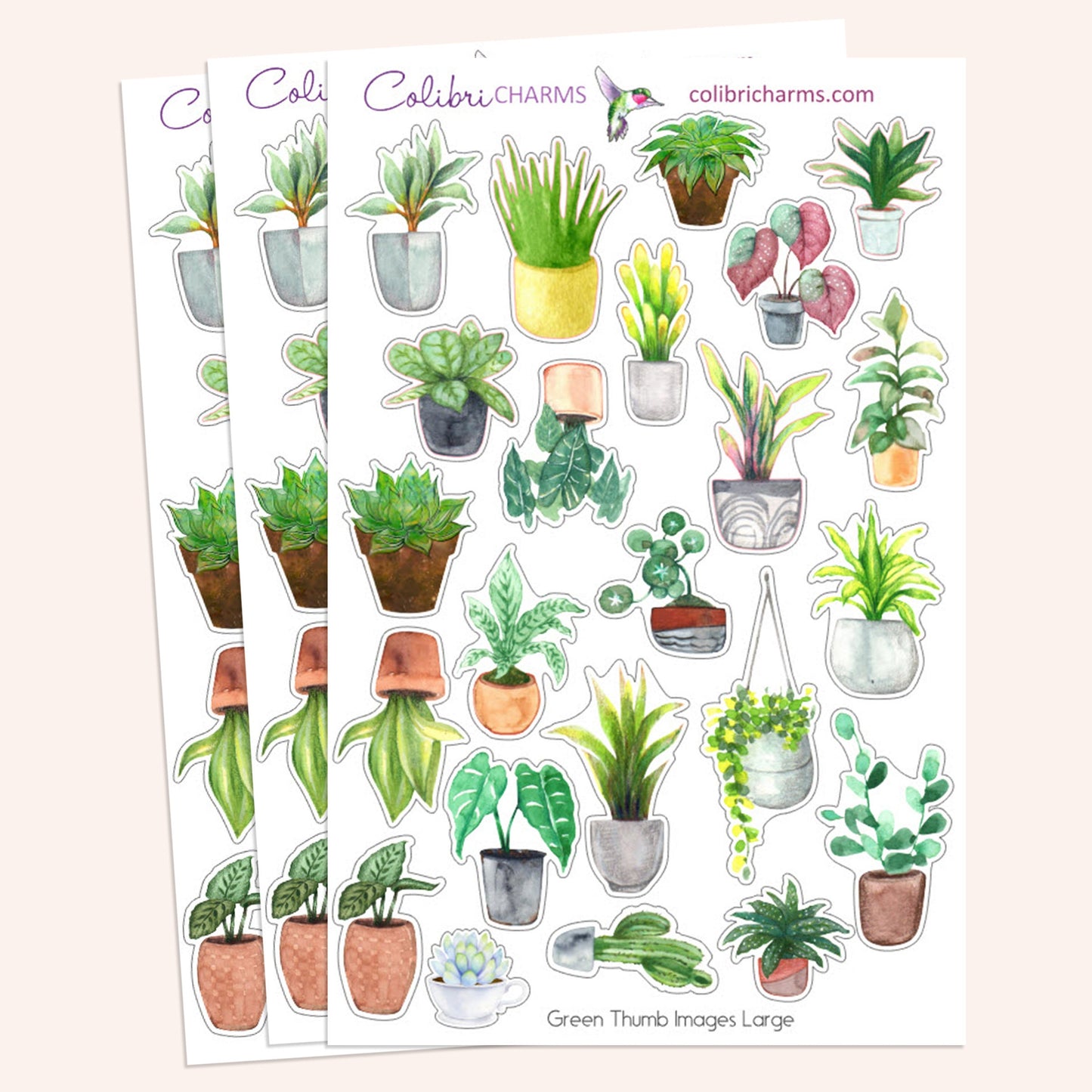 Green Thumb Planner Stickers | Plant Lovers’ Stickers | Plant Fan Stickers | Houseplant Stickers | Seasonal Planner Stickers