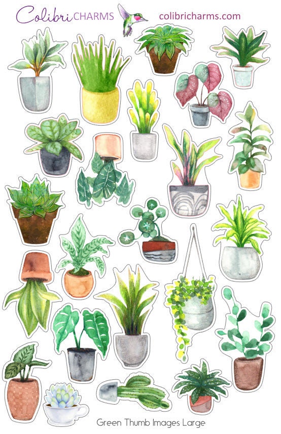 Green Thumb Planner Stickers | Plant Lovers’ Stickers | Plant Fan Stickers | Houseplant Stickers | Seasonal Planner Stickers