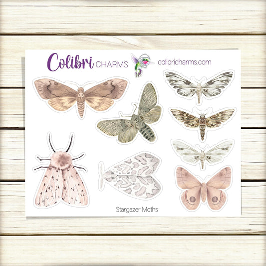 Moth Planner Stickers | Celestial Watercolor DOTW | Stargazer Stickers | Night Sky | Insects